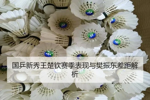 国乒新秀王楚钦赛季表现与樊振东差距解析